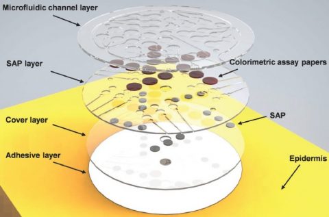 Skin Mounted Microfluidics Analyse Biomarkers In Sweat