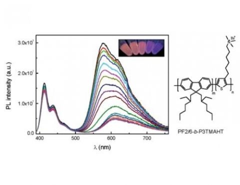 Ratiometric Fluorescence Sensing - Advanced Science News