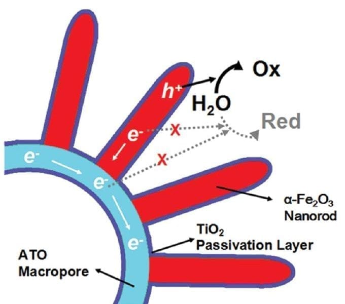 Photoelectrochemical Water Splitting