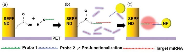 A Flexible And Sensitive MiRNA Biosensor - Advanced Science News