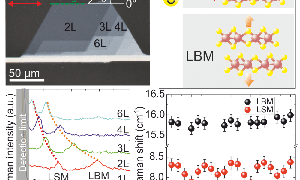 Anisotropic interlayer coupling in atomically thin ReS2 - Advanced ...