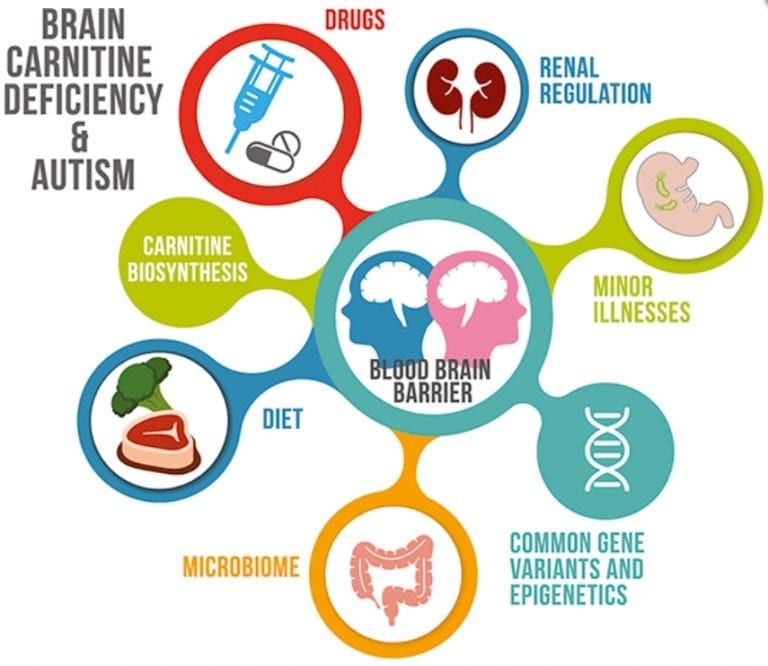 Could Some Cases Of Autism Be Prevented By Nutritional Intervention ...