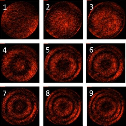 Micron-Scale Wedge Thin Films Deposition Made Simple - Advanced Science ...