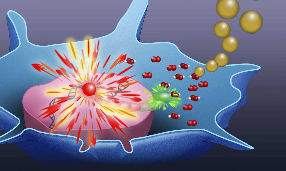 monitoring-reactive-oxygen-species-in-cells-and-tissue-video