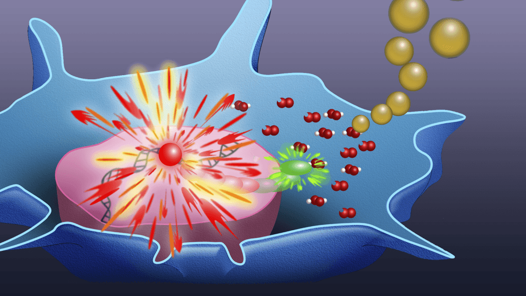 monitoring-reactive-oxygen-species-in-cells-and-tissue-video