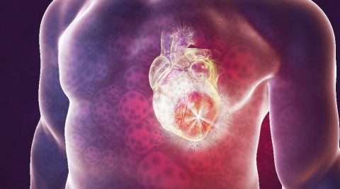 Injectable Hydrogel Composite against Heart Attack - Advanced Science News