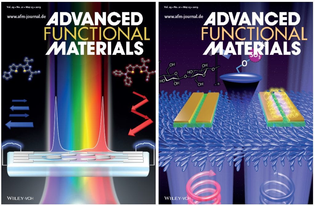 A Perspective on Organic and Bio‐Inspired Materials for Photonics ...