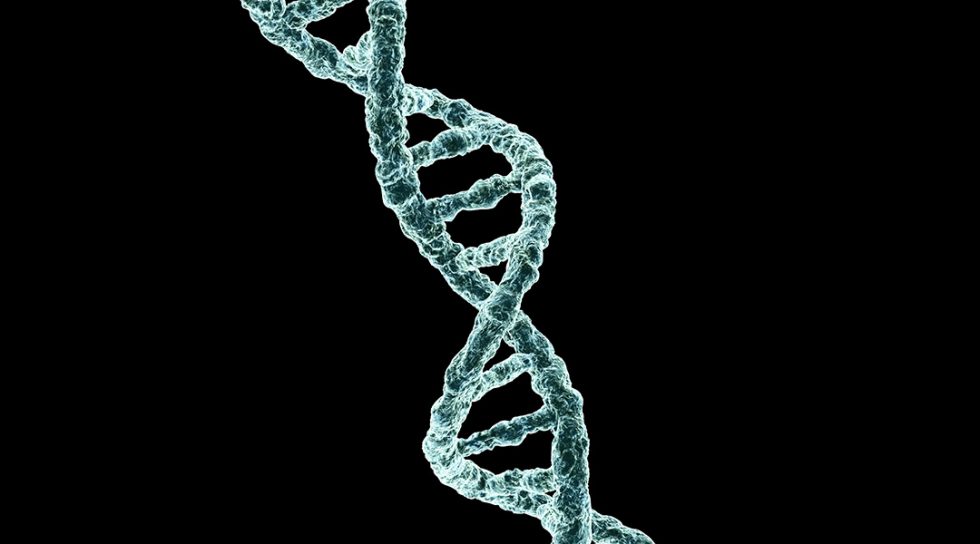 That “junk” DNA … Is Full Of Information! - Advanced Science News