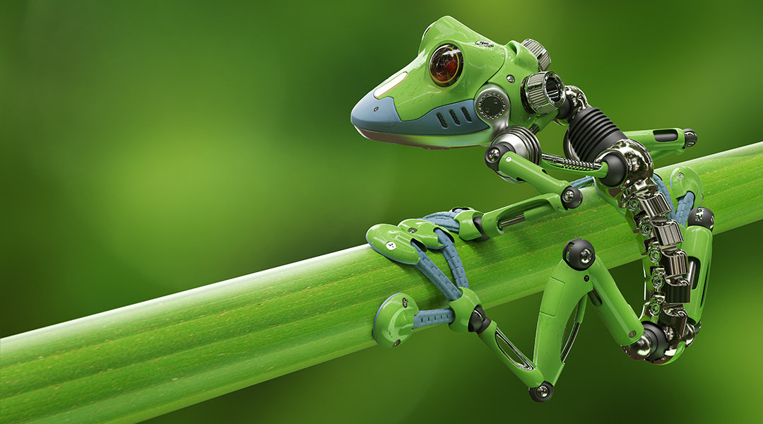 builds first robots frog cells - Advanced Science News