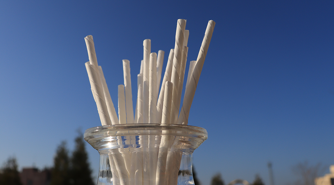 Compostable Straws: Plant-Based Straws Versus Paper Straws