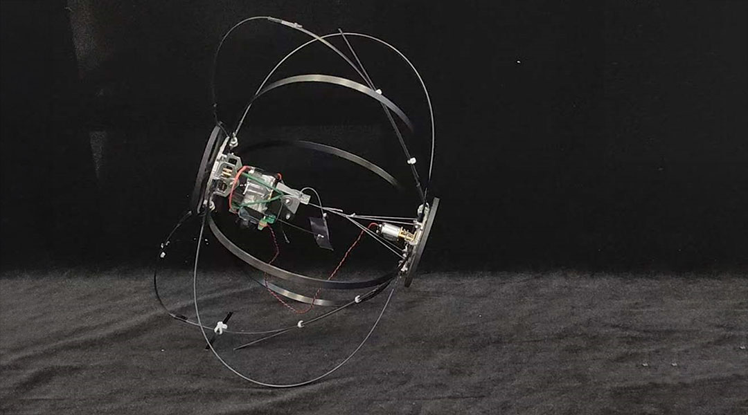 Photo of Tomro, the jumping robot inspired by beetles.