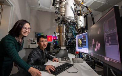 Unprecedented glimpse of catalysts working on the atomic level