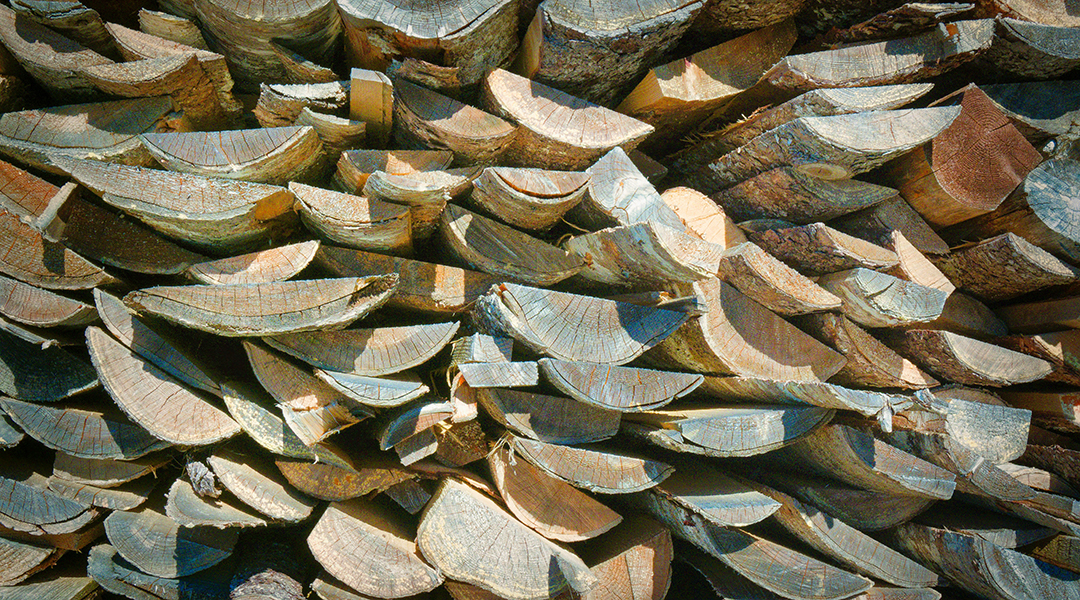 An image of a wood pile.