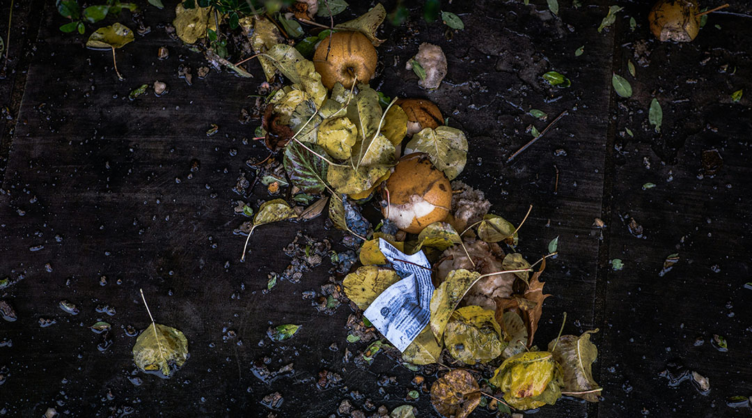 Composting organic materials.