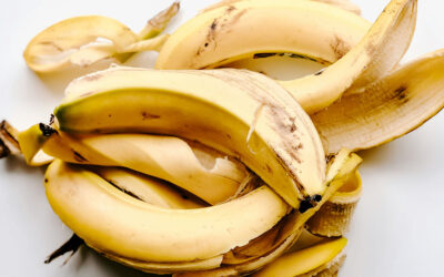 Turning banana peels and coconuts into clean energy