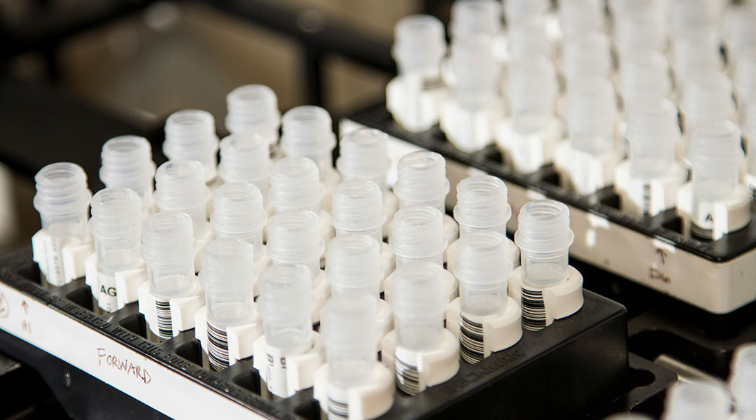 Image of vials in a lab.