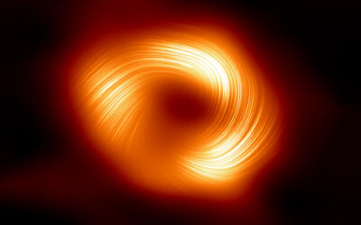 Black hole images deliver a deathblow to alternative theory of gravity 