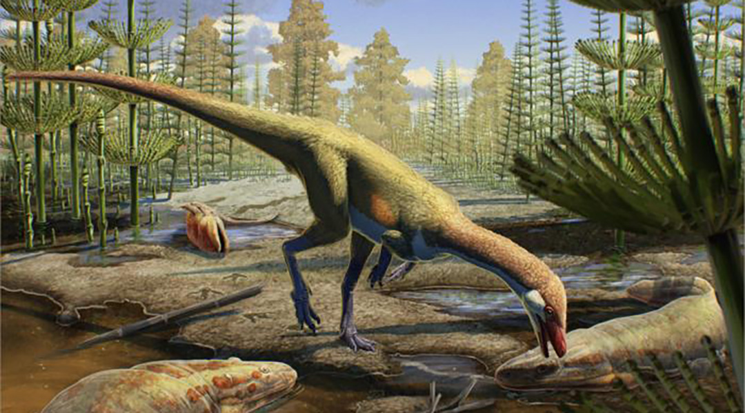 New species shows dinosaurs were early risers in the Northern Hemisphere