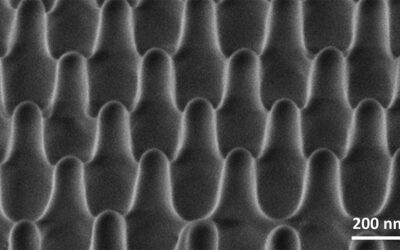 How much force does it take to kill a single bacterium?