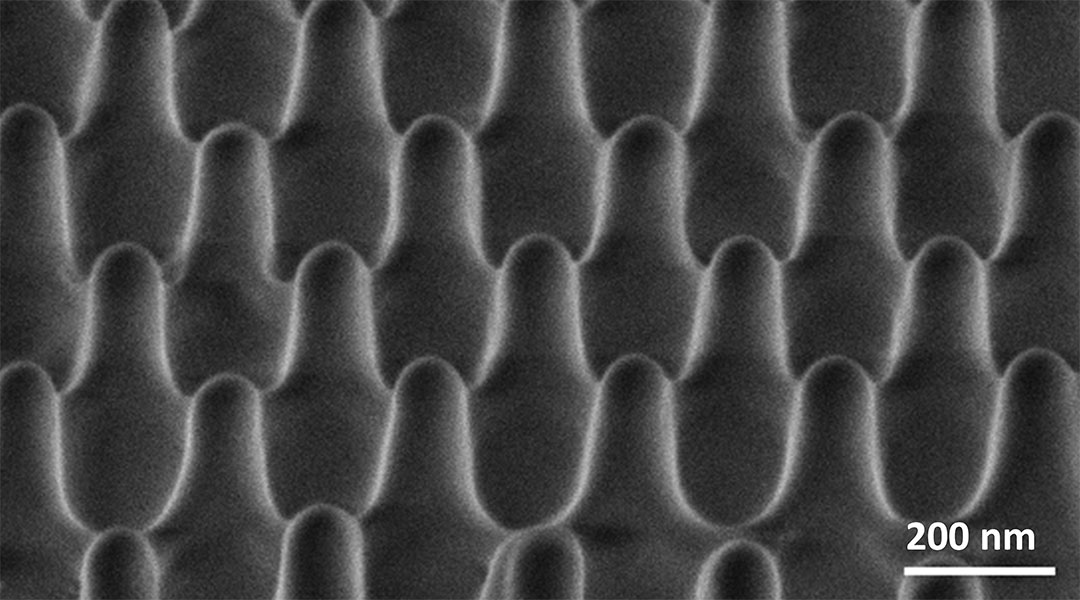 How much force does it take to kill a single bacterium?