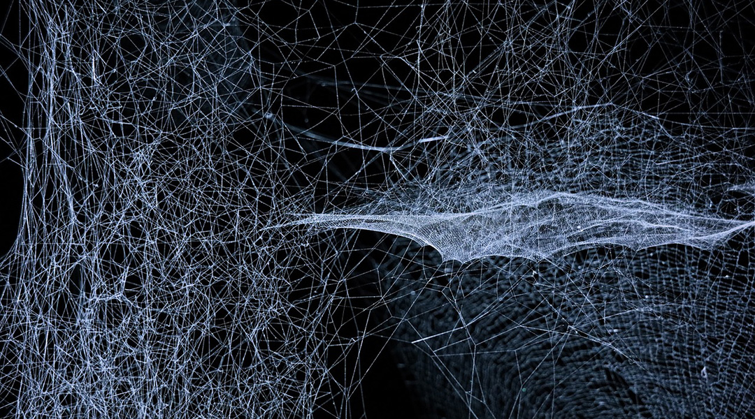 Abstract image of string theory.