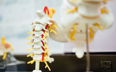 A new biomaterial shields nerves from inflammation, aiding spinal cord injury