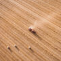 An overhead view of a tractor in a field.