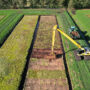 Restoring wetlands with helpful crops.