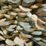 An image of a wood pile.