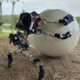 Robot inspired by the dung beetle.